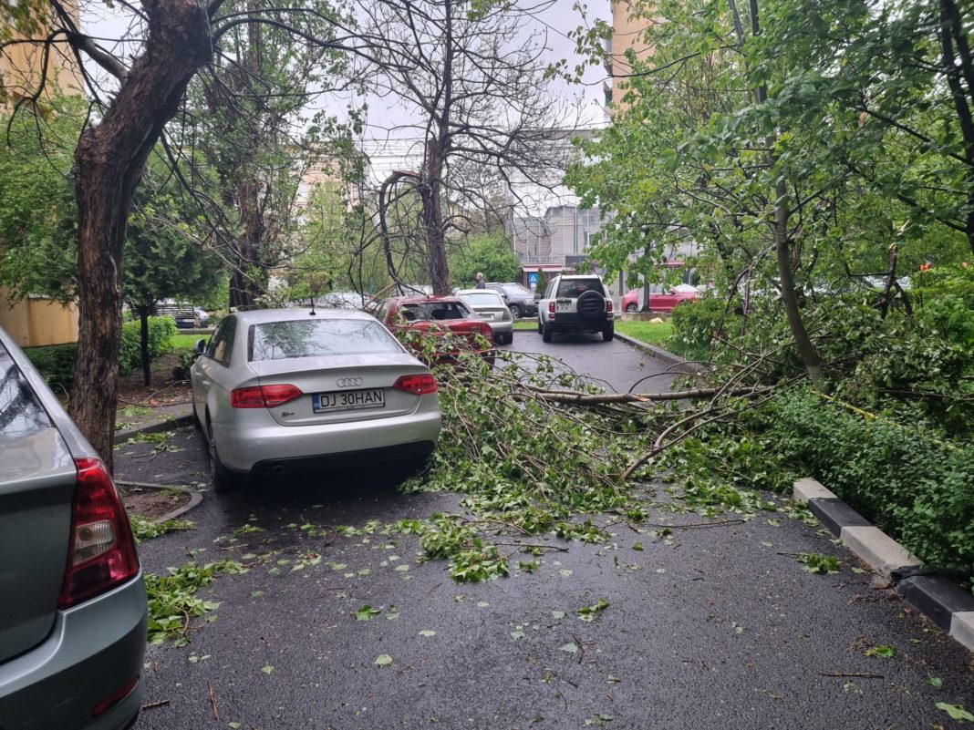 Craiova: Copaci căzuți şi acoperișuri smulse de vânt după furtuna din noaptea trecută