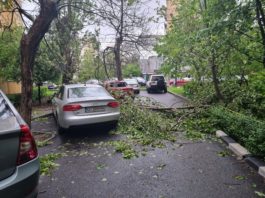 Craiova: Copaci căzuți şi acoperișuri smulse de vânt după furtuna din noaptea trecută