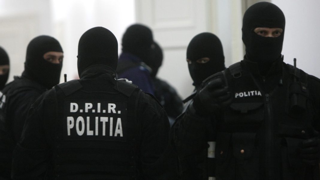 Acţiunea DNA este în plină desfăşurare.