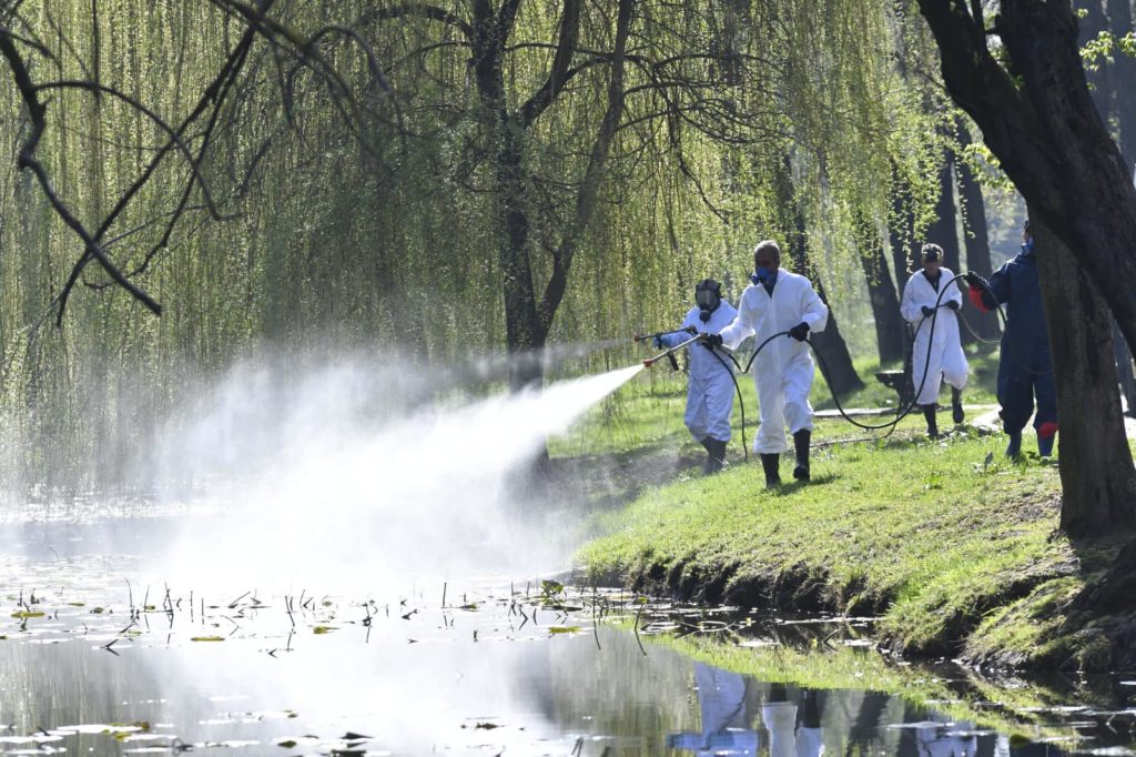 Cât plătește Salubritatea Craiova pentru insecticidele de anul acesta