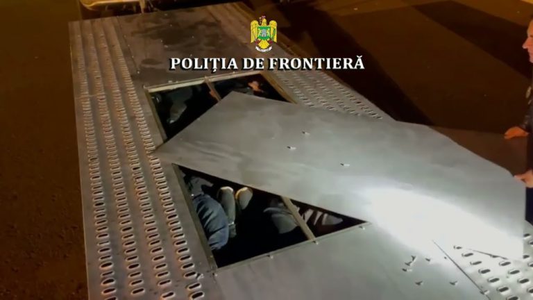 (VIDEO) Zece sirieni depistaţi ascunşi în interiorul unei platforme auto