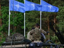 Polonia şi ţările baltice cer „o mai mare prezență NATO”