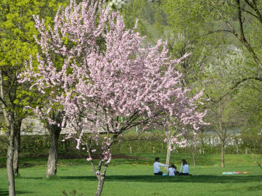 ANM: Temperaturile vor fi oscilante în toată ţara, în următoarele două săptămâni