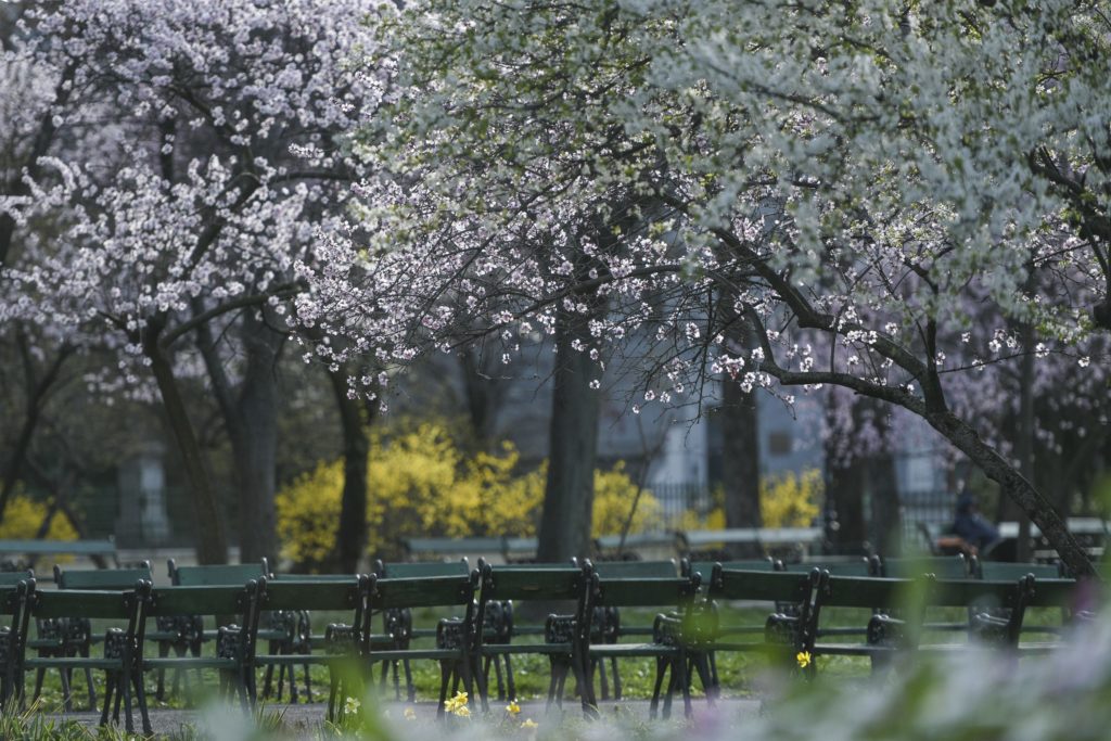 Prognoza meteo până pe 19 mai
