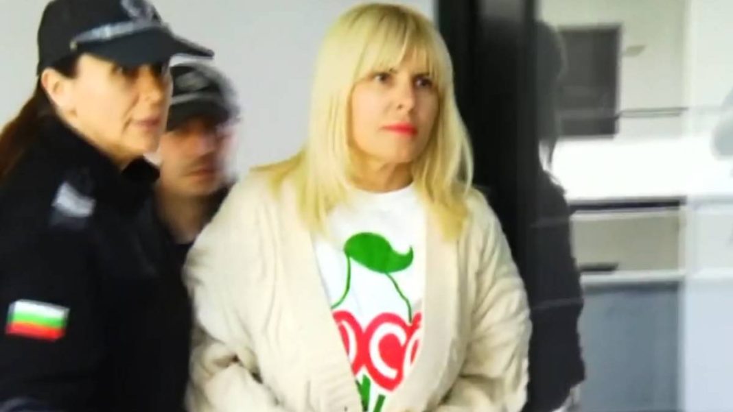 Elena Udrea, așteaptă decizia judecătorului, dacă va fi sau nu trimisăîn țară