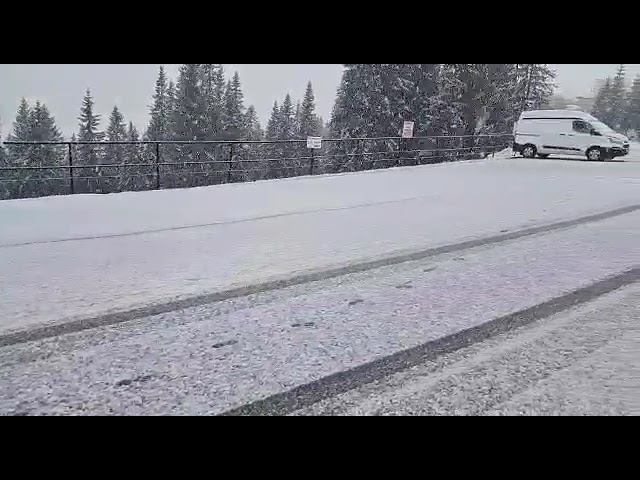 (VIDEO) Ninge abundent la Rânca