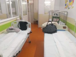 Gândaci fotografiați în Secția Pediatrie din Spitalul Județean Târgu Jiu