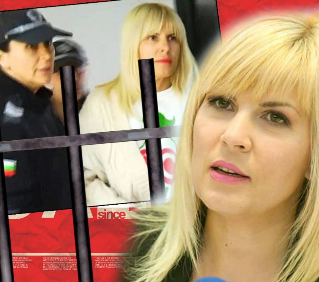 Elena Udrea, din nou în fața instanței din Bulgaria privind mandatul de extrădare