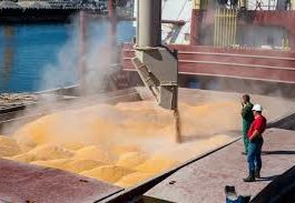80.000 de tone de cereale din Ucraina, exportate prin portul Constanța