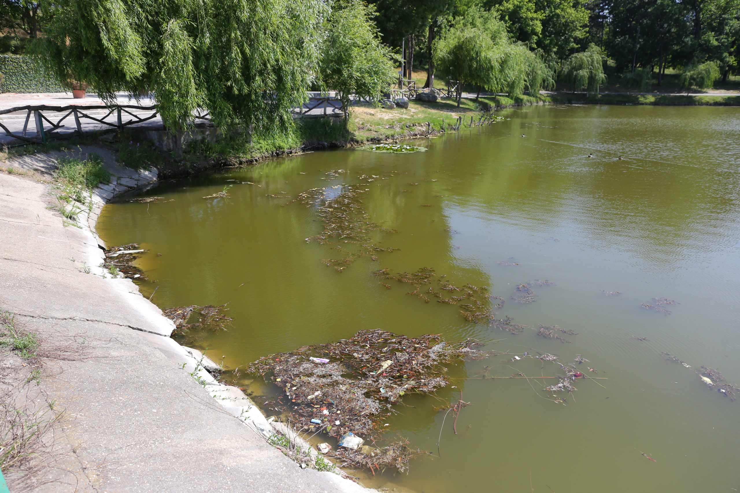 Lacul de la Hanul Doctorului