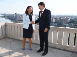Ader a întâmpinat-o pe Novak la intrarea în Palatul Sandor din Budapesta, după care i-a prezentat birourile şi reşedinţa prezidenţiale