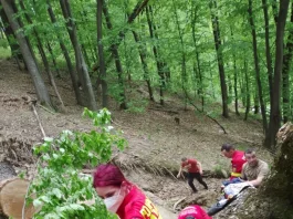 Un bărbat a murit strivit de un copac într-o pădure din județul Sibiu