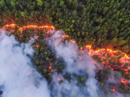 Siberia se confruntă cu incendii