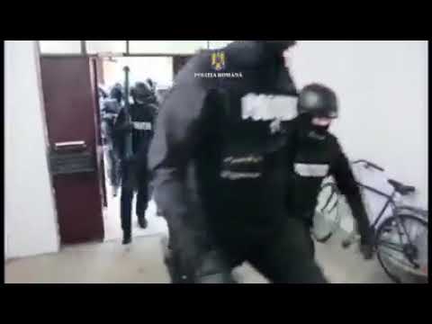 (VIDEO) Percheziții la un grup de interlopi