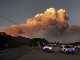 Stare de dezastru în statul New Mexico, unde 58.000 ha au fost devorate de incendii
