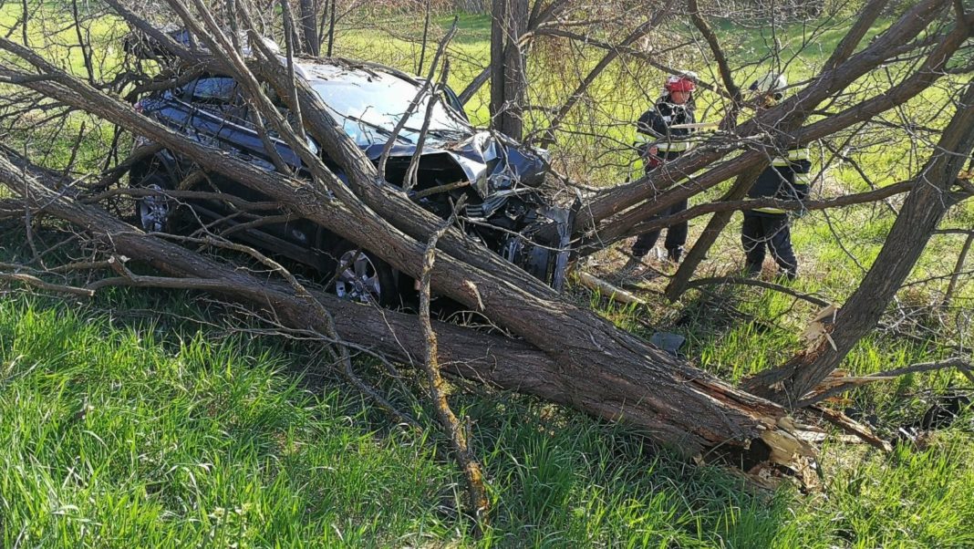 Mamă şi doi copii, răniţi după ce au intrat cu maşina într-un copac