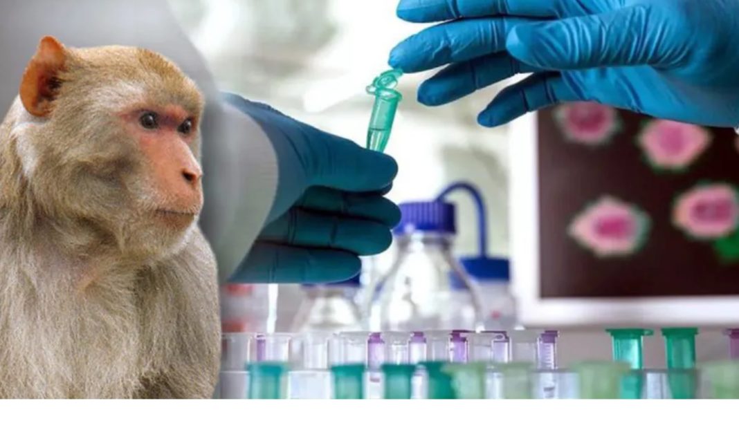 Românul suspect de variola maimuței are varicelă