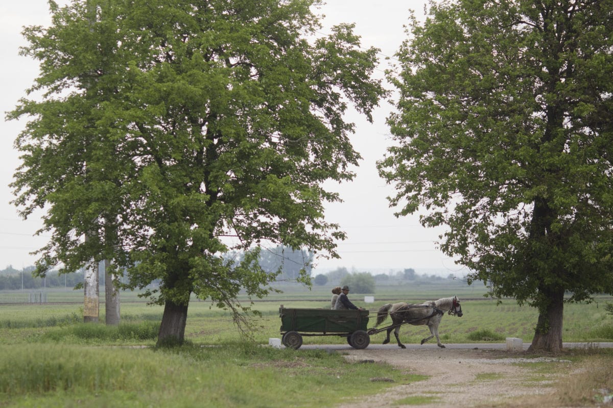 Bărbat căzut din căruță, lovit de cal și călcat de roțile atelajului