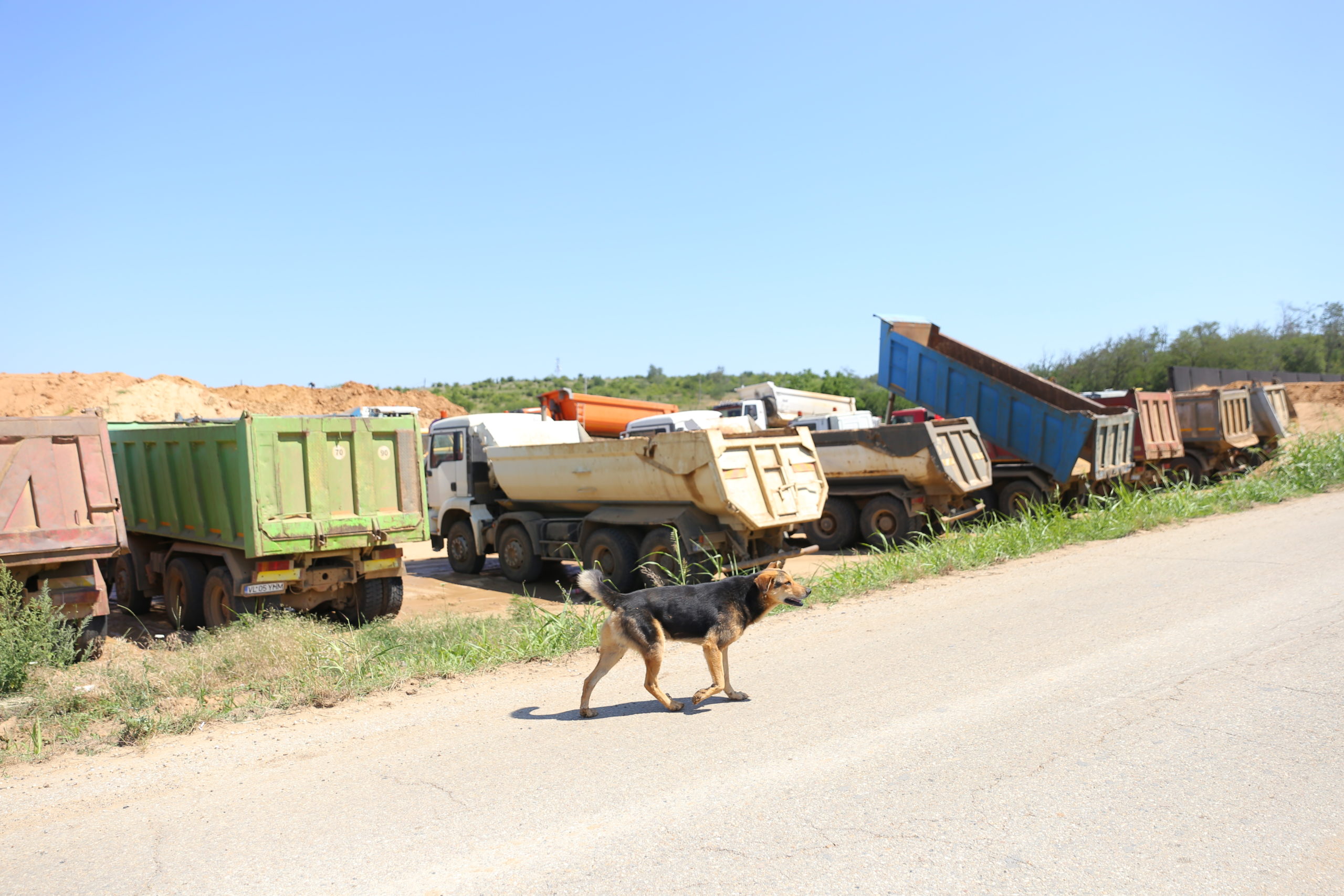 Doar un câine şi paznicul erau, joi, pe şantierul Tronsonului I al Drumului Expres