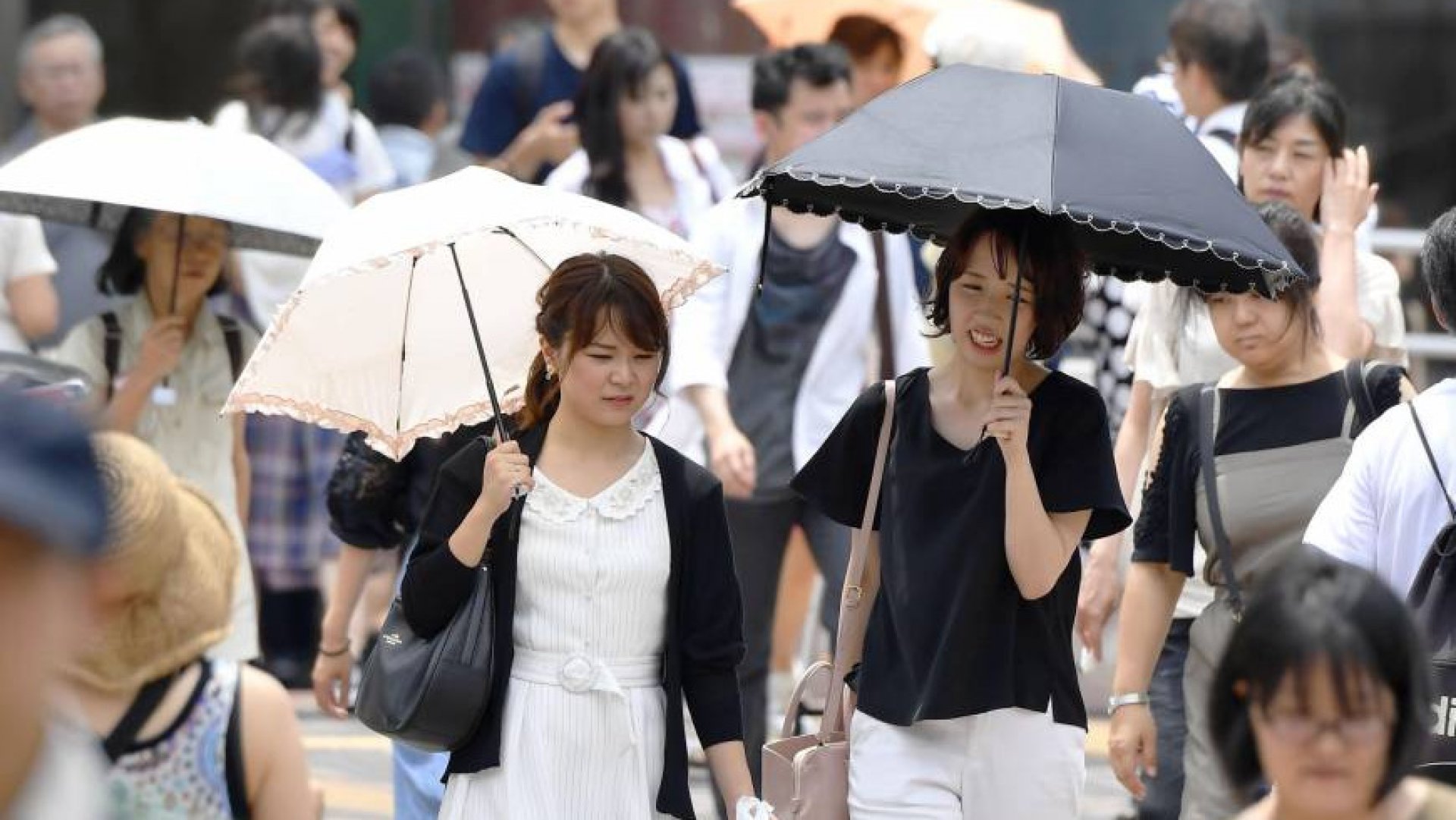 Japonia a înregistrat cea mai ridicată temperatură în luna iunie din ultimii 150 de ani
