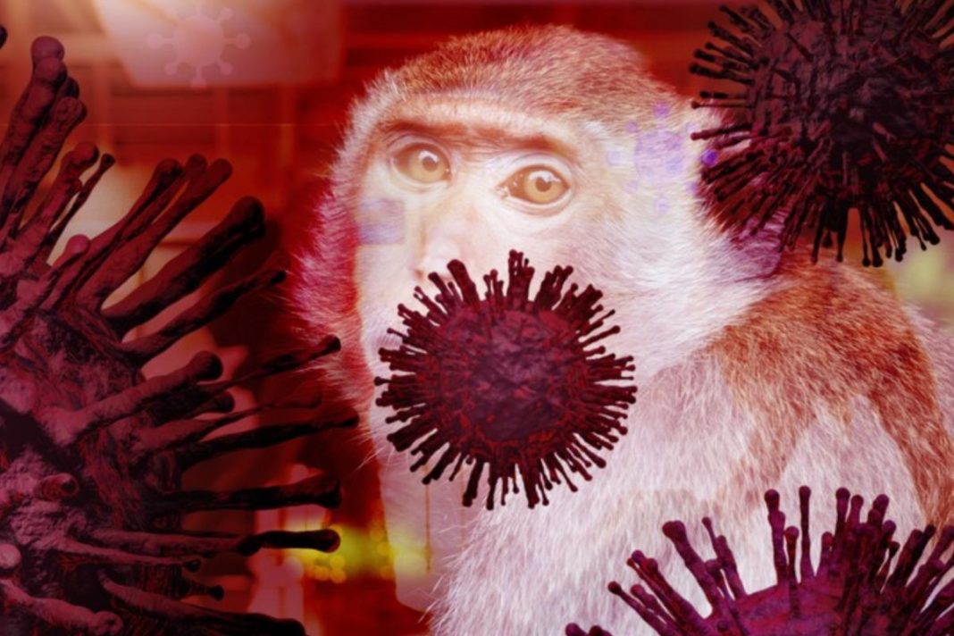 OMS a declarat variola maimuțelor urgență sanitară globală