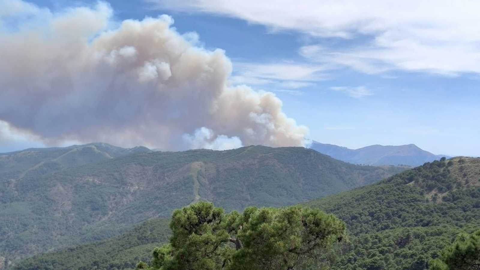 Incendiul a început miercuri după-amiază pe versanţii muntelui Pujerra din Sierra Bermejain, deasupra de Costa del Sol