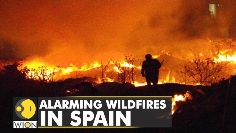 (VIDEO) Spania: Incendii de vegetație din cauza caniculei