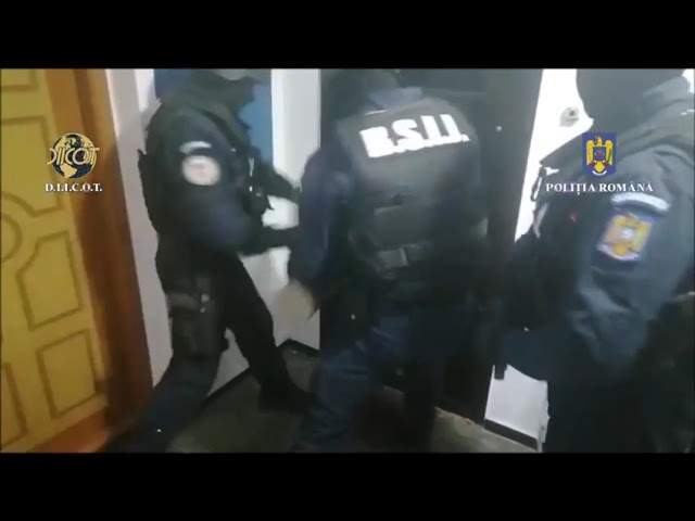 Percheziții la traficanți de droguri din București și Ilfov, după tragedia de la Festivalul Saga