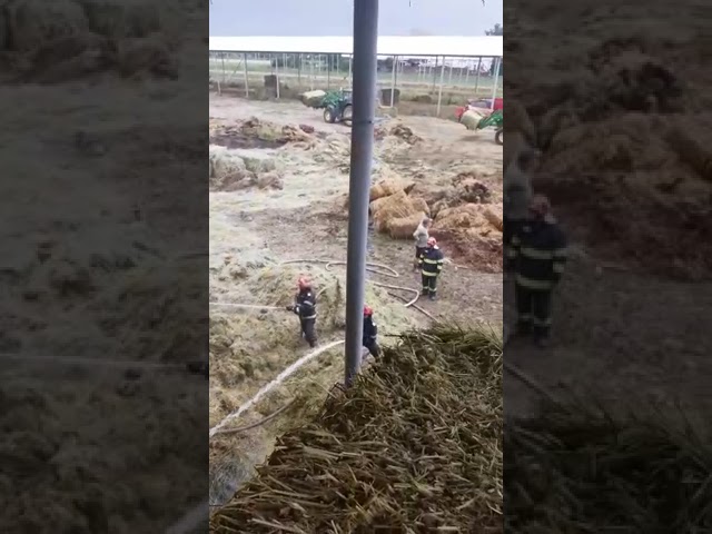 (VIDEO) Vâlcea: Incendiu la o hală de depozitare furaje
