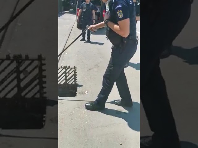 (VIDEO) Jandarmii olteni au îndepărtat șerpii din anumite zone