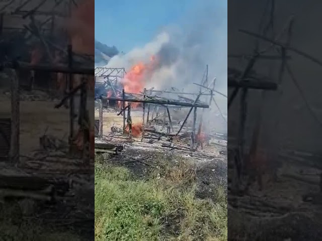 (VIDEO) Mehedinți: Incendiu la un adăpost de animale din Ilovăț