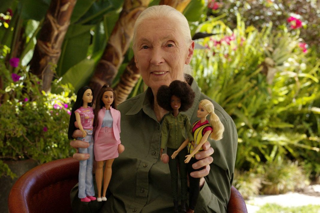 Noua păpuşă Barbie, confecţionată din plastic reciclat, potrivit Mattel, a fost lansată în semn de omagiu pentru studiile revoluţionare realizate de Goodall
