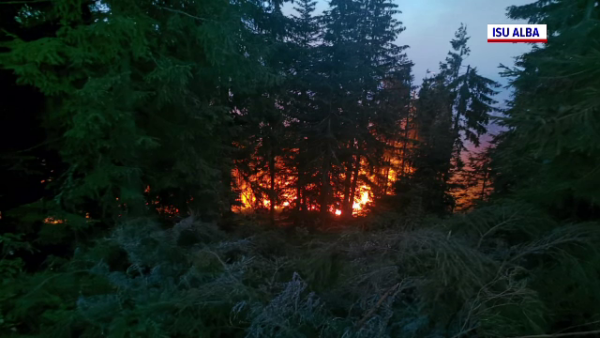 Peste 2.600 de hectare au fost afectate de incendii în ultimele 3 zile