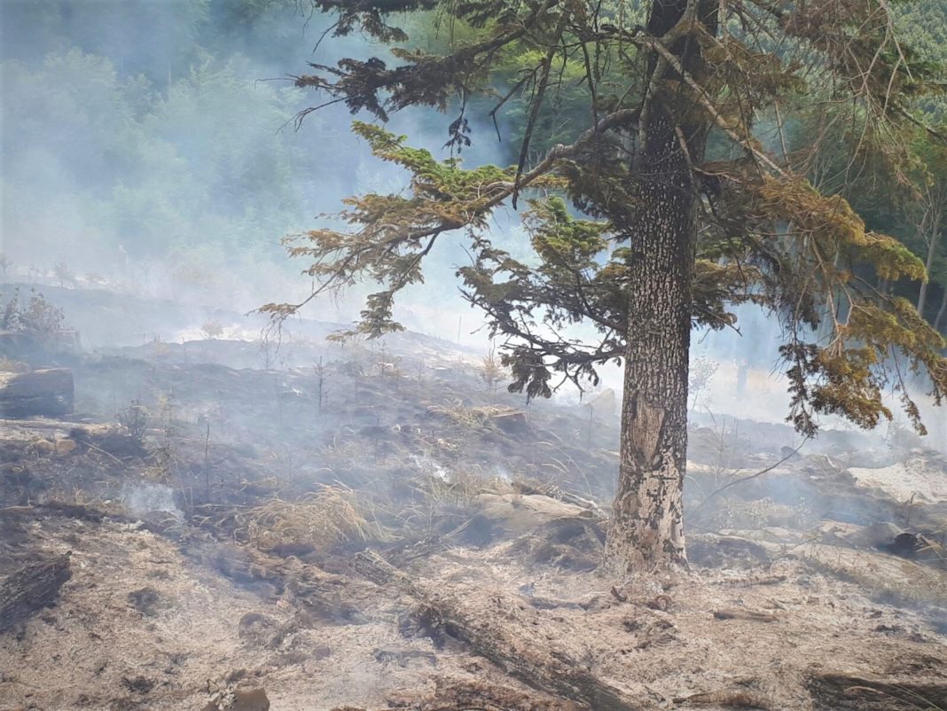 Majoritatea incendiilor, 693 din 711, s-au înregistrat în zone de deal și de câmpie