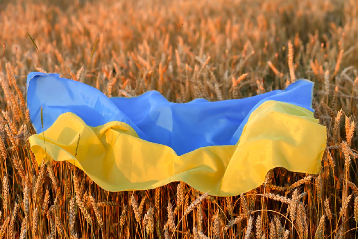 Importul de cereale din Ucraina a destabilizat prețurile