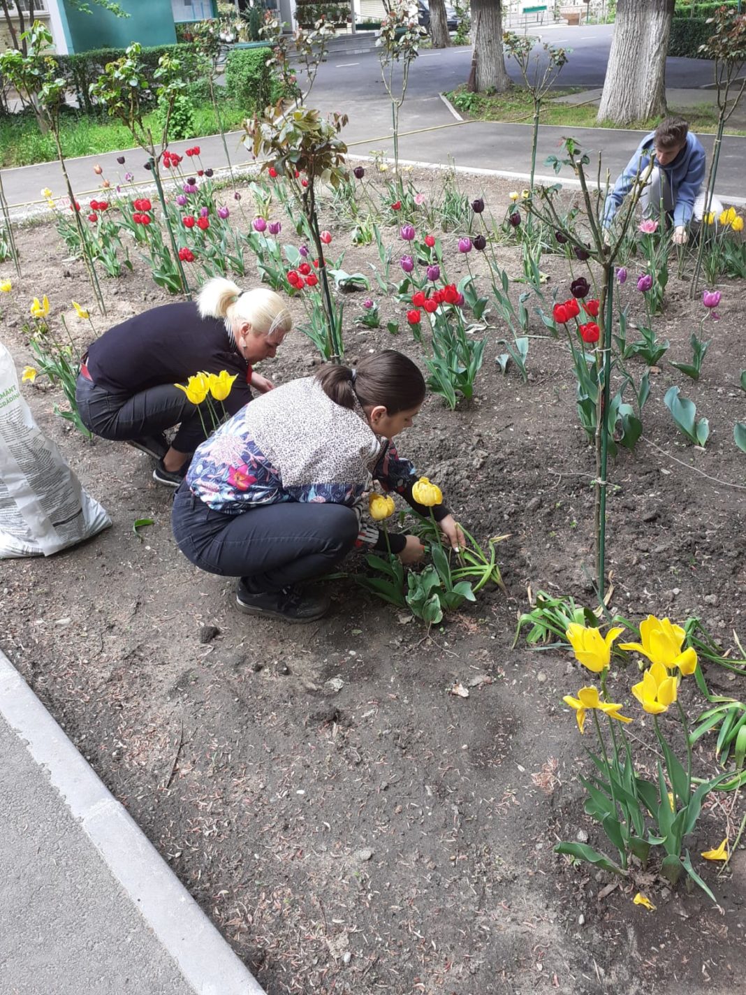 Un proiect de suflet la Colegiul Nicolae Titulescu