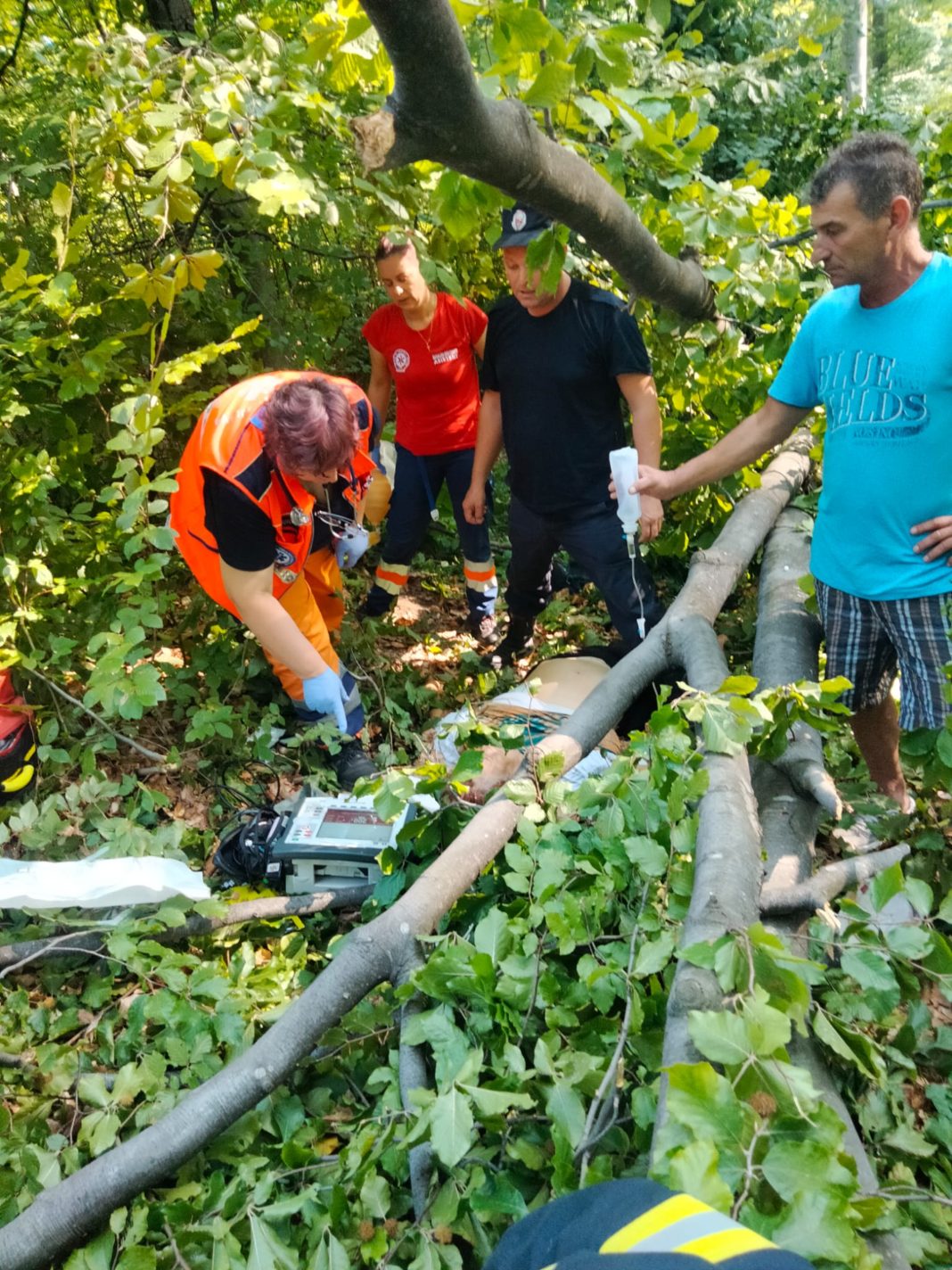 Femeia a fost lovită de creanga unui arbore și a suferit un traumatism cranian