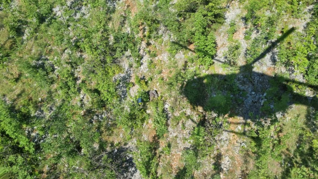 Bărbatul dispărut la Padeș, găsit mort într-o prăpastie