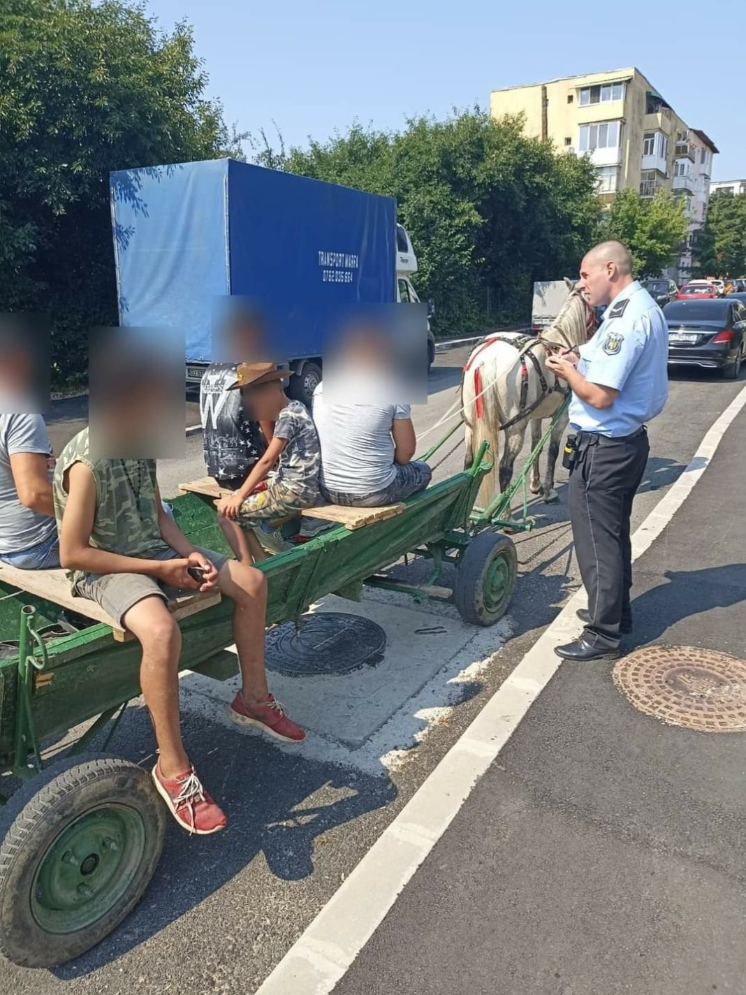 Au plecat la plimbare cu o căruță prin Târgu Jiu și au fost opriți de polițiști