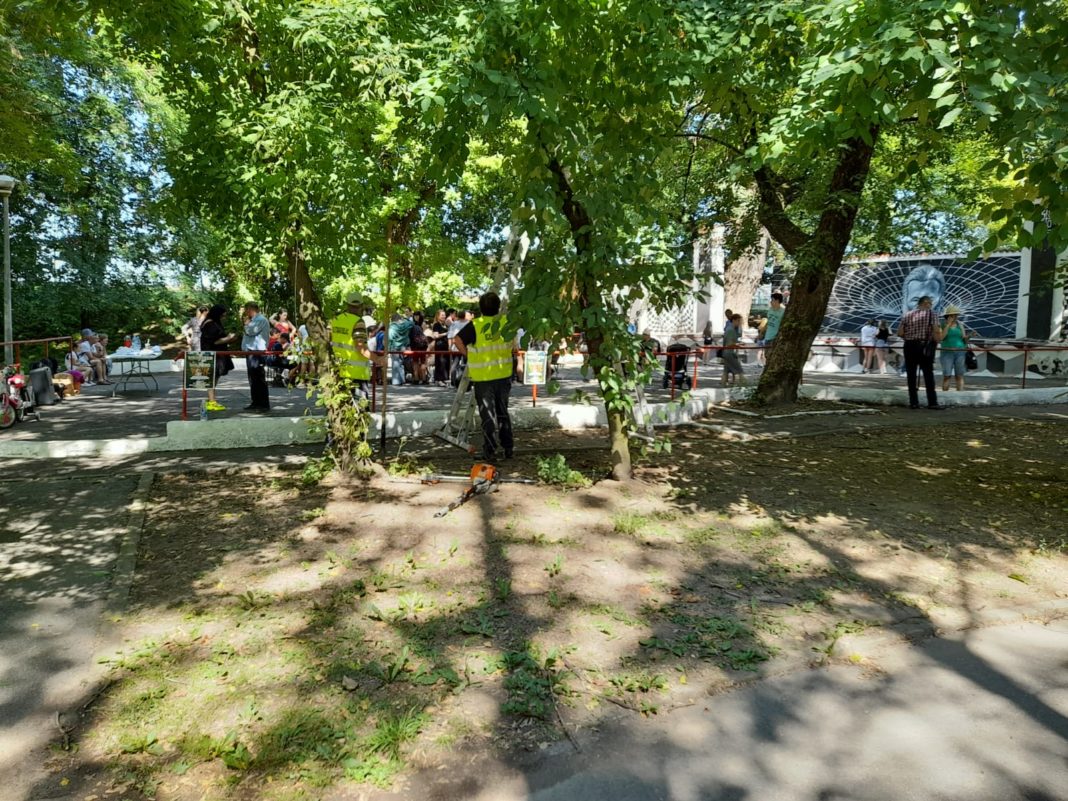 Copil de 10 ani, rănit de o creangă desprinsă dintr-un copac din Parcul Central din Târgu Jiu