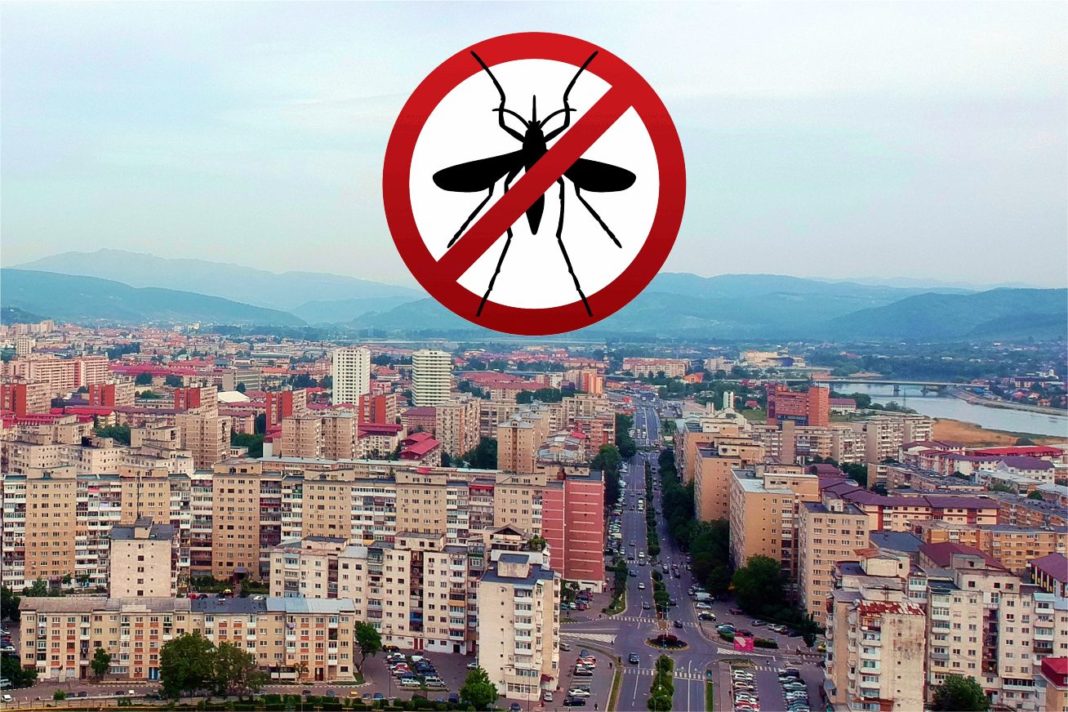 Dezinsecţia se va realiza în perioada 21 - 28 iulie