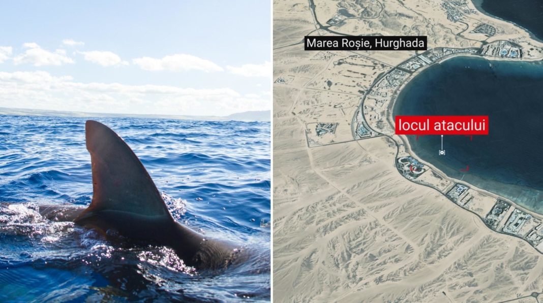 Ce a scos la iveală ancheta în cazul morţii turistelor din România și Austria ucise în Egipt de un rechin