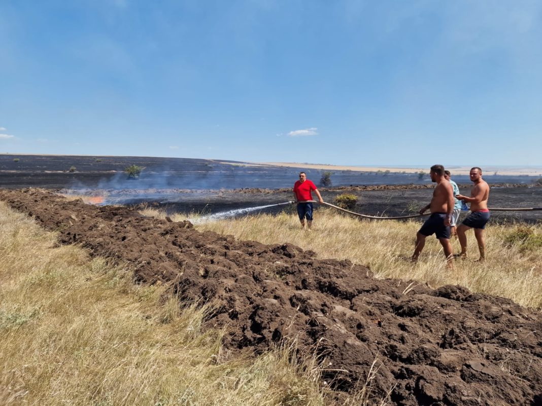400 ha de vegetație și 18 animale au ars în incendiul de lângă Poligonul Babadag