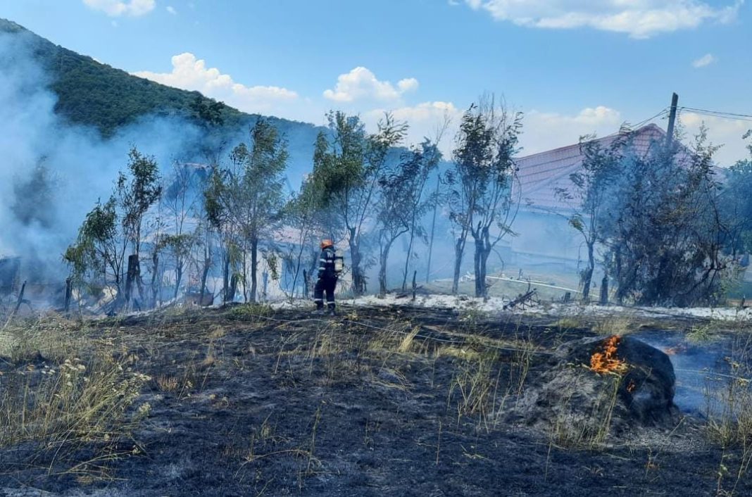 uscată, în cartierul Driglovăţ, din Reşiţa,