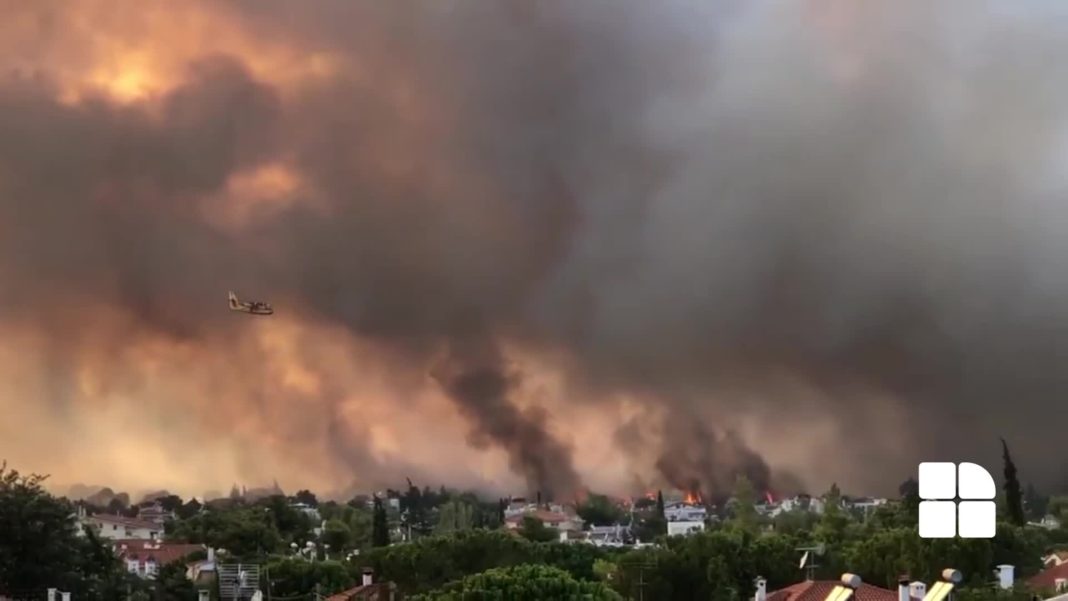 Incendiu de vegetaţie scăpat de sub control în nordul Atenei