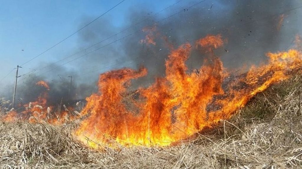 Un bărbat a murit într-un incendiu de vegetaţie