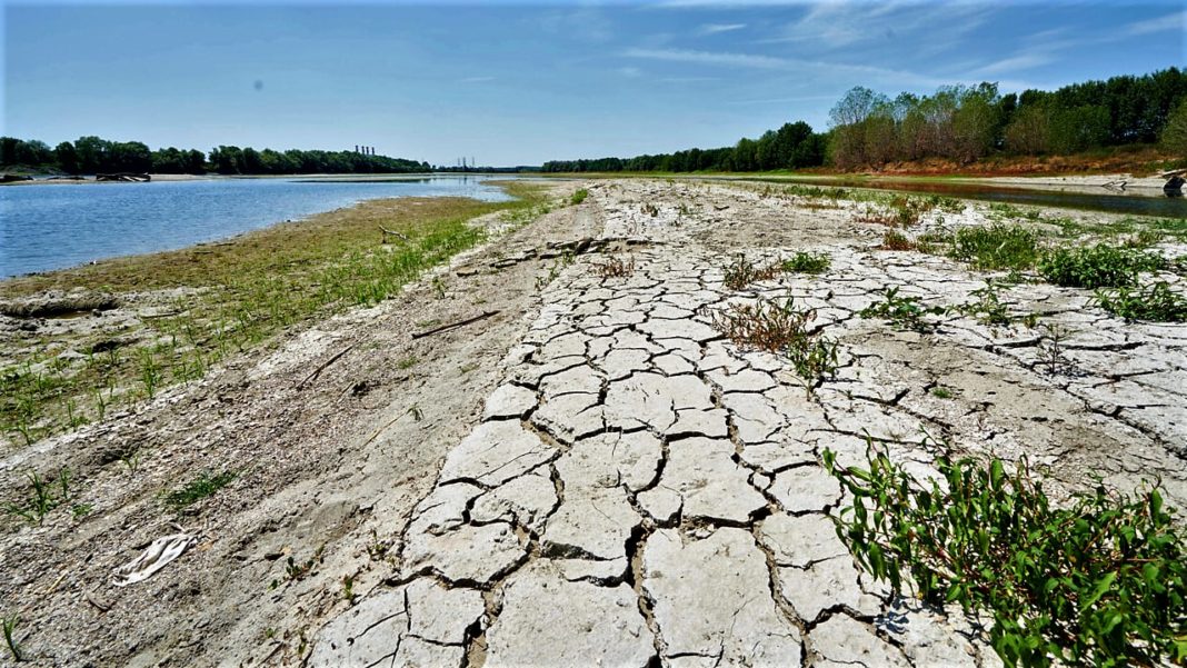 Lipsa precipitațiilor a compromis culturile agricole