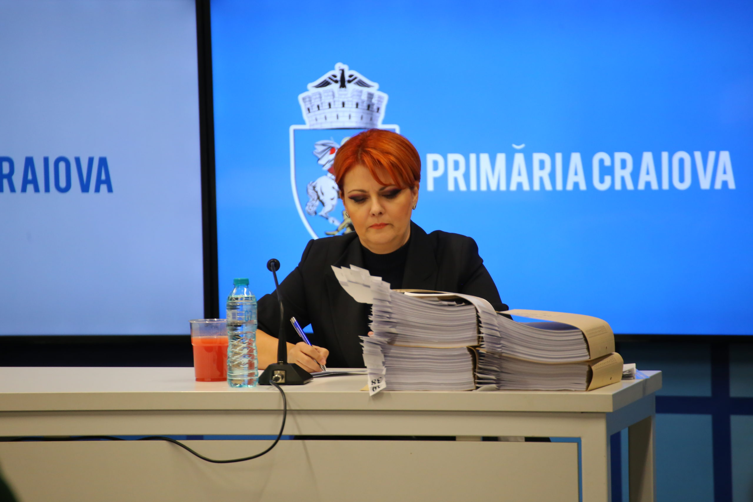 Olguța Vasilescu promite și mai multe asfaltări în acest an