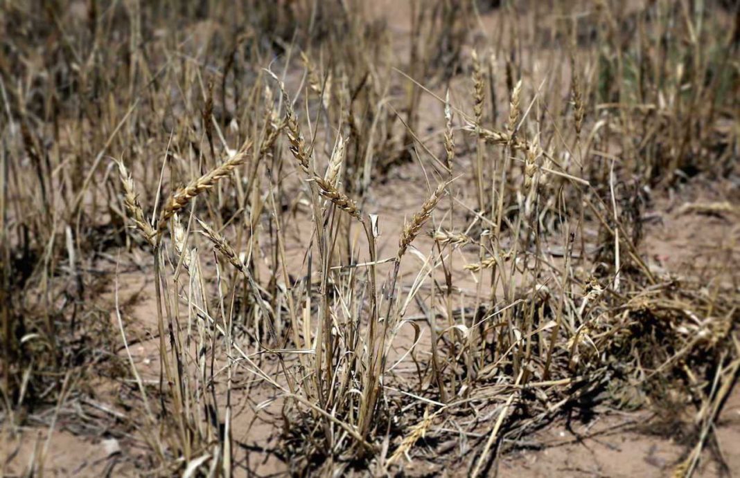 Mexic declară stare de urgență din cauza secetei