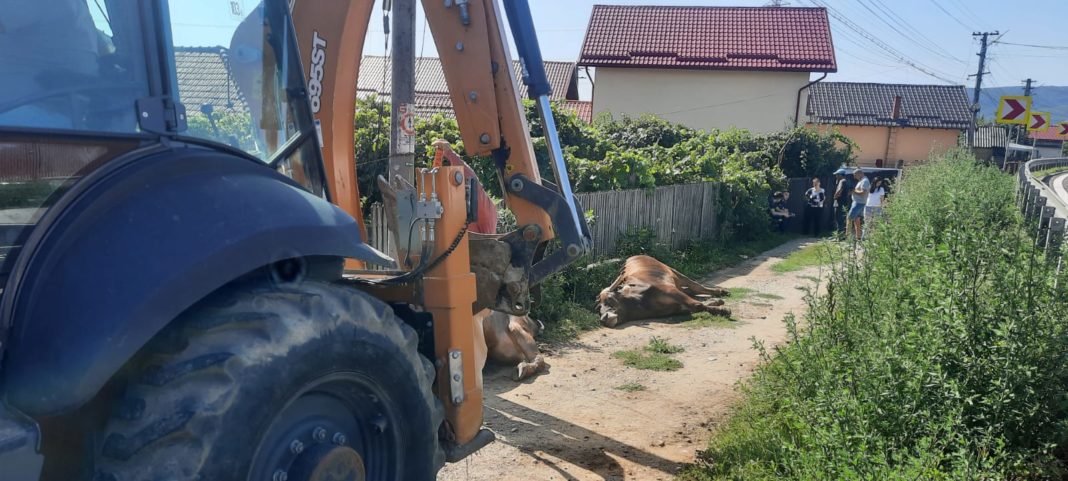 A fost anunţată si compania de electricitate (FOTO: Gazeta Vâlceană)